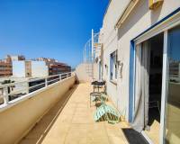Alquiler a largo plazo - Penthouse - Torrevieja - Antonio Machado