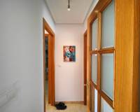 Alquiler a largo plazo - Penthouse - Torrevieja - Antonio Machado