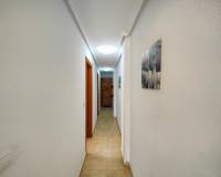Alquiler a largo plazo - Penthouse - Torrevieja - Antonio Machado