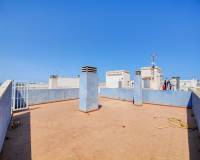 Alquiler a largo plazo - Penthouse - Torrevieja - Antonio Machado