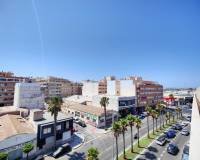 Alquiler a largo plazo - Penthouse - Torrevieja - Antonio Machado