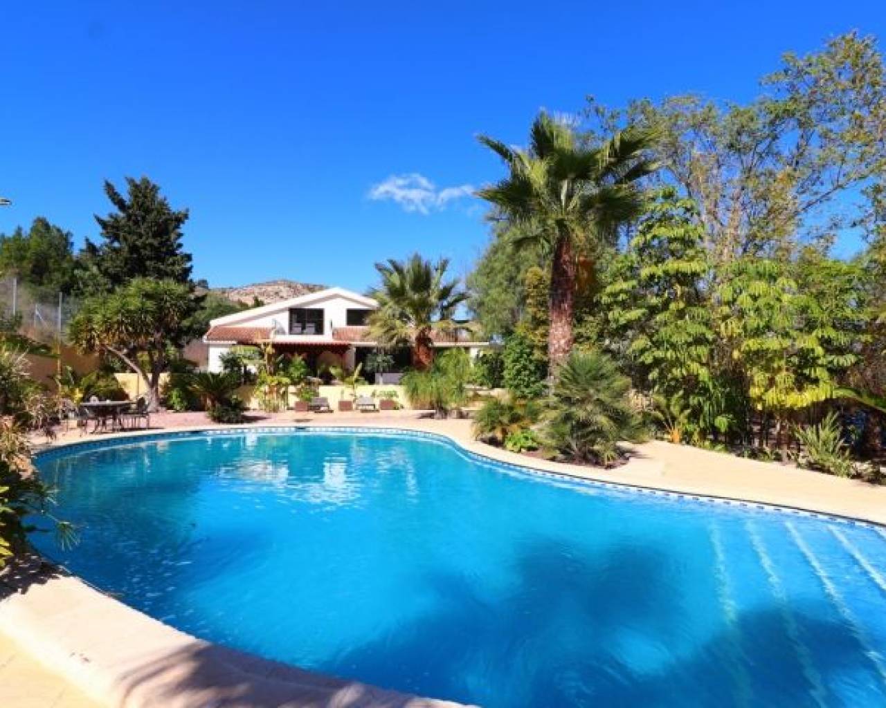 Apartamento - Venta - Aspe - Aspe