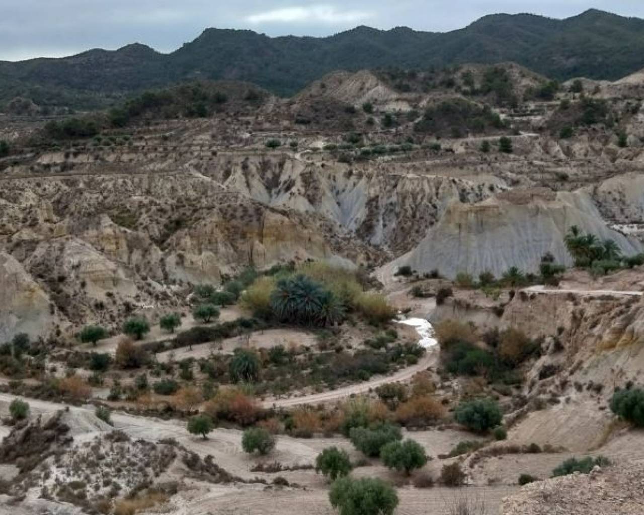 Apartment - Resale - Abanilla - Abanilla