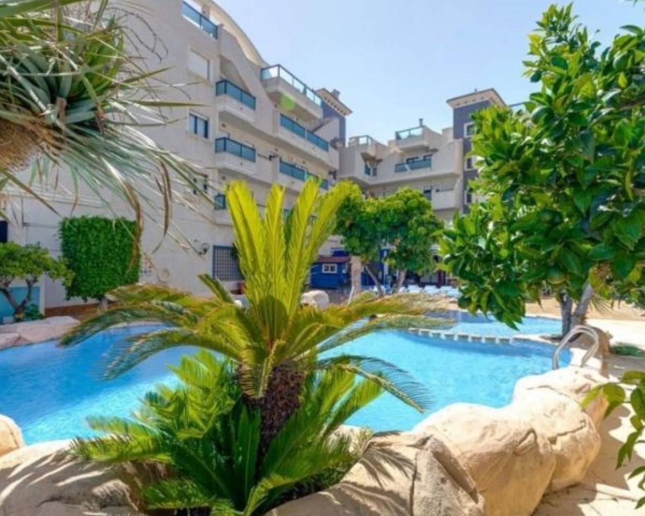 Apartment - Resale - Cabo Roig - Cabo Roig