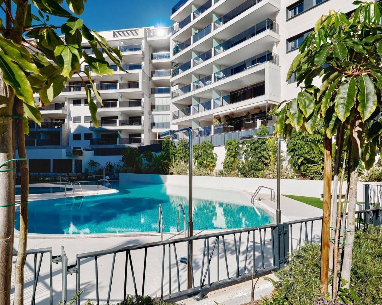 Apartment - Resale - Dehesa de Campoamor - Campoamor