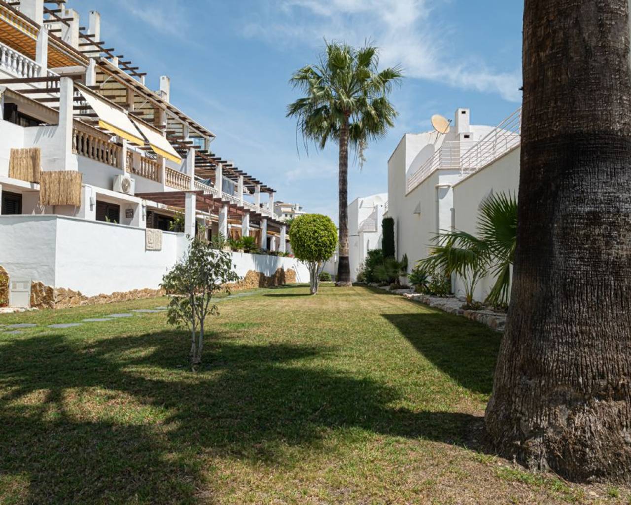 Apartment - Resale - Orihuela - SCM-30082