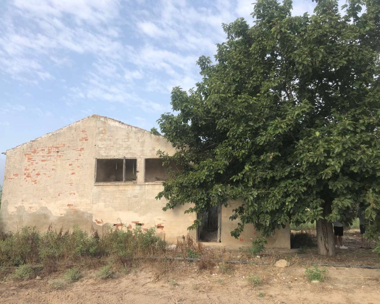 Finca - Venta - Callosa De Segura - Callosa De Segura