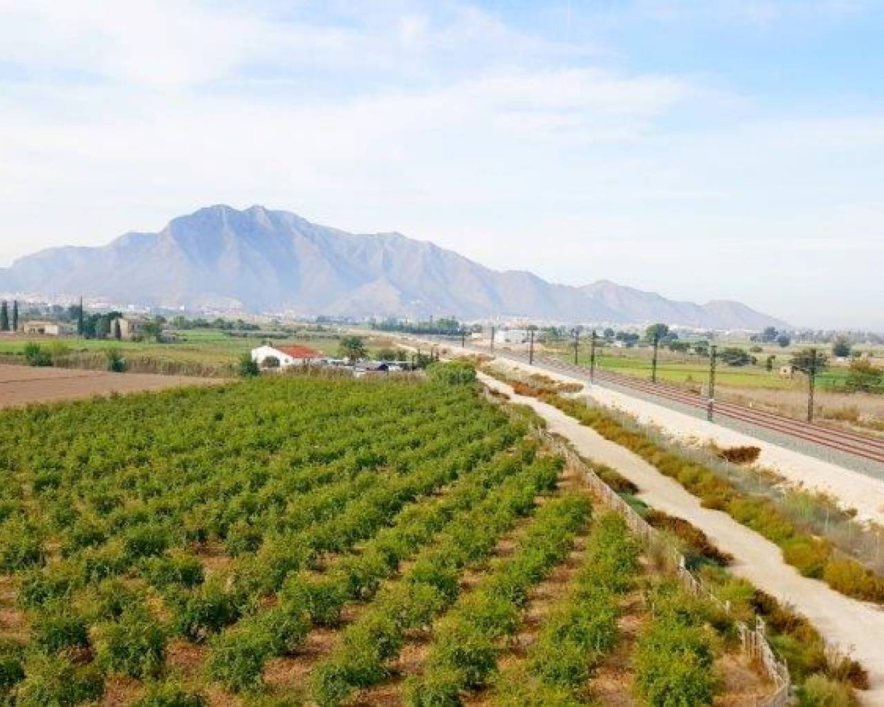 Finca - Venta - Callosa De Segura - Callosa De Segura