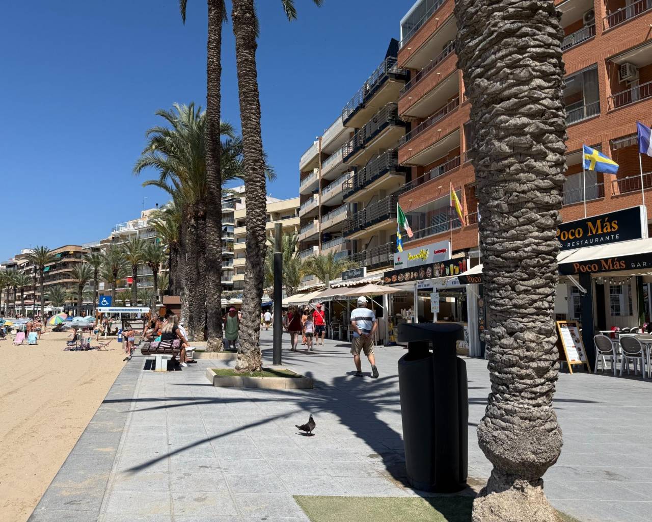 Ground Floor - Venta - Torrevieja - Playa del Cura