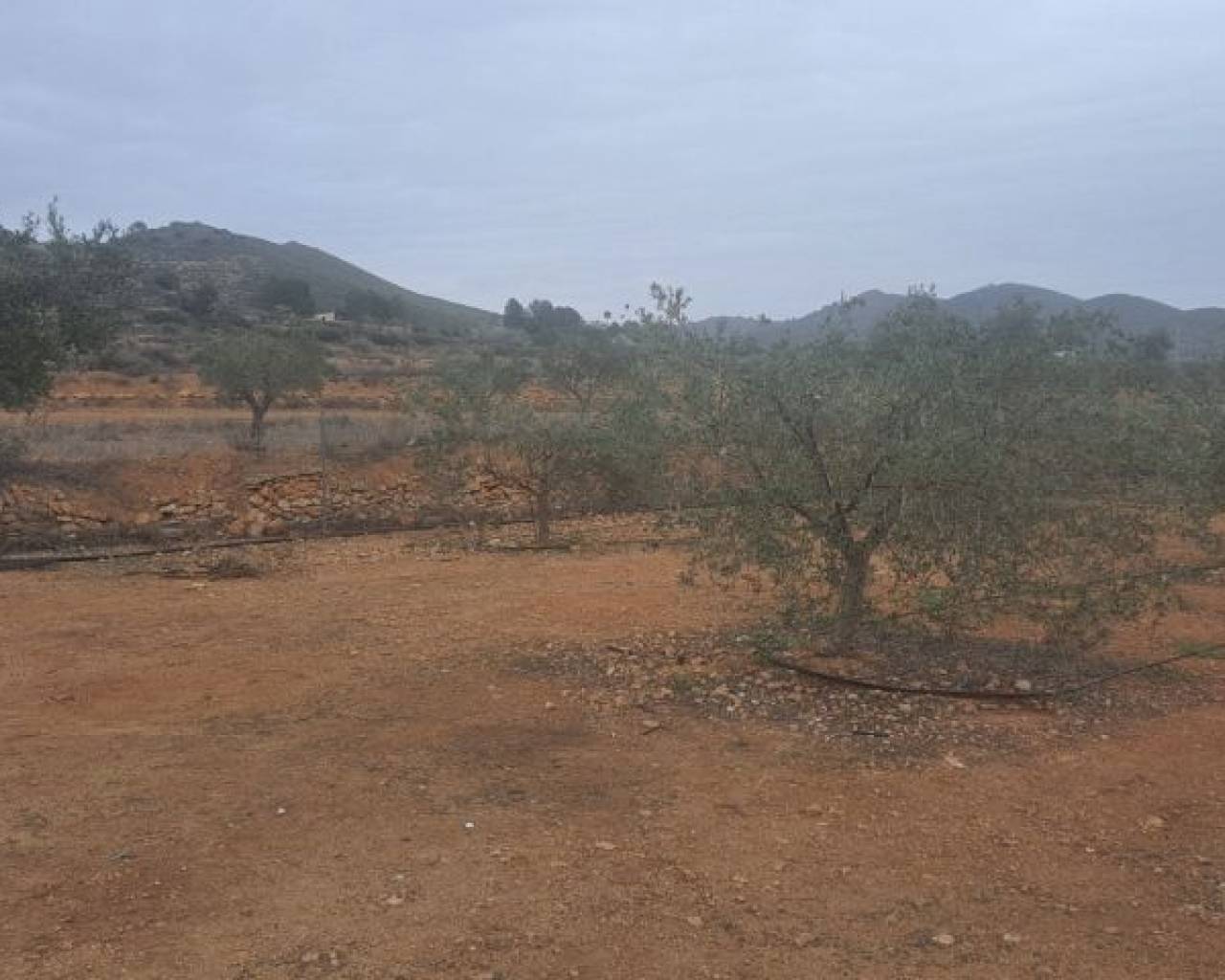 Land - Resale - Hondón de las Nieves - Hondón de las Nieves