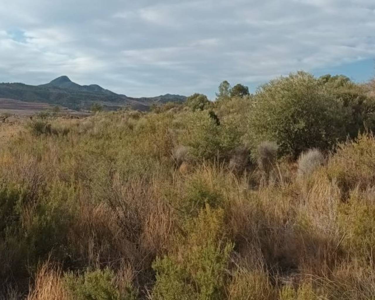 Land - Resale - Murcia - Murcia