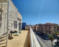 Long time Rental - Penthouse - Torrevieja - Antonio Machado