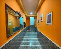 Long time Rental - Penthouse - Torrevieja - Antonio Machado