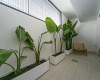 New Build - Bungalow - Torrevieja - Los balcones