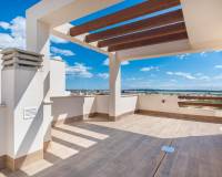 New Build -  - Los Montesinos - La Herrada