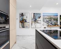 New Build -  - Torrevieja - El chaparral