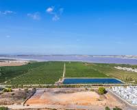 New Build -  - Torrevieja - Los balcones