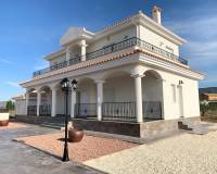 New Build - villa - Pinoso