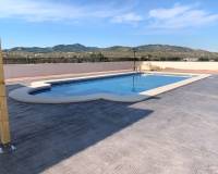 New Build - villa - Pinoso