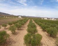 New Build - villa - Pinoso