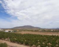 New Build - villa - Pinoso