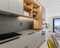 Nueva construcción  - Apartamento - Guardamar del Segura - EL RASO