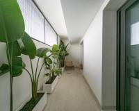 Nueva construcción  - Bungalow - Torrevieja - Los balcones