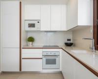Nueva construcción  -  - Torrevieja - Los balcones