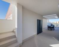Nueva construcción  - VILLA - Torrevieja - Nueva Torrevieja - Aguas Nuevas