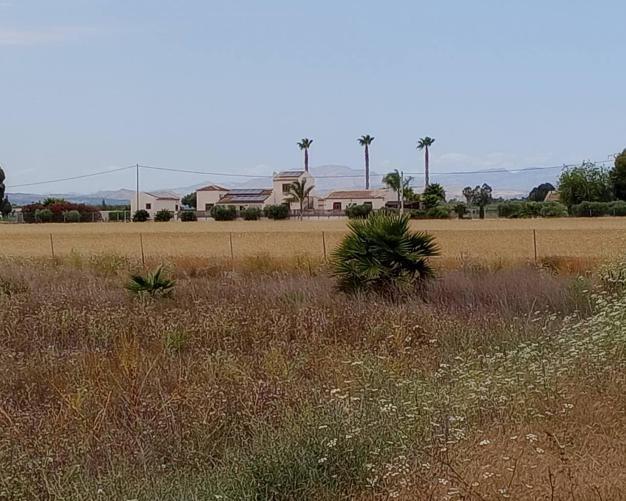 Parcela - Venta - San Fulgencio - San Fulgencio