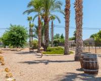 Resale - Apartment - Catral