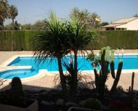 Resale - Apartment - Elche