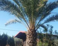 Resale - Apartment - Elche