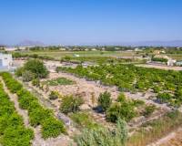 Resale - Apartment - Formentera del Segura