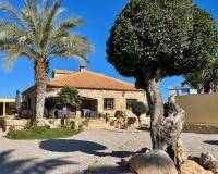 Resale - Apartment - Fortuna