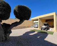 Resale - Apartment - Fortuna