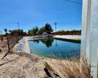 Resale - Apartment - Los Montesinos