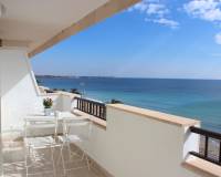 Resale - Apartment - Mil Palmeras - optional location detail