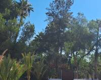 Resale - Apartment - Orihuela