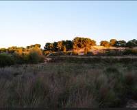 Resale - Apartment - Pinar de Campoverde