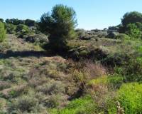 Resale - Apartment - Pinar de Campoverde