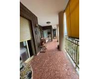 Resale - Apartment - Torrevieja - Paseo maritimo