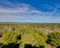 Resale - Apartment - Torrevieja - San Luis