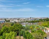 Resale - Apartments - Torrevieja - Parque las naciones