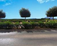 Resale - Appartement - Algorfa