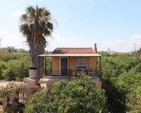 Resale - Appartement - Algorfa