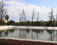 Resale - Appartement - Algorfa