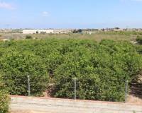 Resale - Appartement - Algorfa