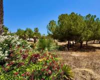 Resale - Appartement - Ciudad Quesada