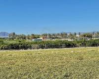 Resale - Appartement - Guardamar del Segura